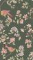 Preview: Aderyn - Olive Colour