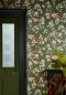 Preview: Aderyn - Olive Colour