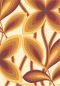 Preview: Starflower - Marigold
