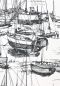 Preview: Zingara - Nickel