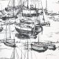 Preview: Zingara - Nickel