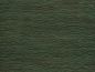 Preview: Penumbra 15742 Emerald