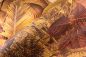 Preview: Essentials Rêverie Tropicale 26771 Golden Hour