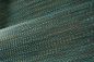 Preview: Geloma 54564 Peacock Tail