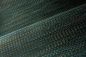 Preview: Geloma 54564 Peacock Tail