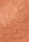 Preview: Impasto 60100 Copper