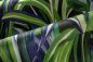 Preview: Java 72012