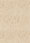 Preview: Astragale 76680202 Sable