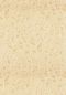 Preview: Astragale 76680304 Vanille