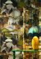 Preview: Decors All'ombra Dei Cipressi 97501 Forest Walk