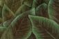 Preview: Decors Bird of Paradise 97572 Emerald