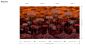 Preview: Panorama Ciel Tropical 97651 Bright Pimento