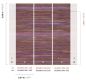 Preview: Pai-Pai Plum DGAMA104 - 260