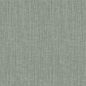 Preview: Plain DW1001 Papyrus Sage