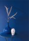 Preview: Gini Cobalt GOJ702