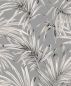 Preview: Palm Midnight LOT102