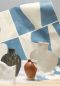 Preview: Carreaux de Terre AST NT02008