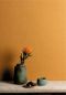 Preview: Gini Ochre OLI705