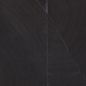 Preview: Fragments RM1037 80