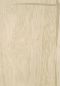 Preview: Feuilles d'or RM1041 03
