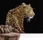 Preview: Leopardo Teletta Wandbild