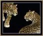 Preview: Leopardo Duo Teletta Mural