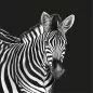 Preview: Zebra Teletta Wandbild