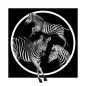 Preview: Zebra Cerchio Teletta Wandbild