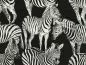 Preview: Zebra Paradise