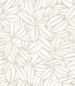 Preview: Succulente TP301 01