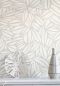 Preview: Succulente TP301 01