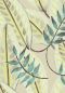 Preview: Alocasia TP302 04