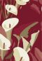 Preview: Arum TP304 04