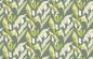 Preview: Fleur de lune TP305 02