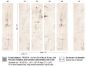 Preview: Tableau rose TP335 01 Panoramique