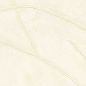 Preview: Kintsugi VP1004 01 État de grâce