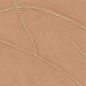 Preview: Kintsugi VP1004 51 Une exigence naturelle