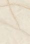 Preview: Kintsugi VP1004 81 Sublimer ses failles