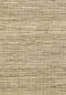 Preview: Panama Musa VP710 07