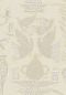 Preview: Paros VP954 01