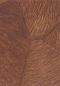 Preview: Pampa VP967 75