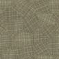 Preview: Speranza VP987 02