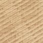 Preview: Speranza VP987 03