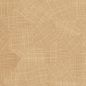 Preview: Speranza VP987 03