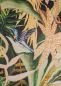 Preview: Costalegre VP992 01