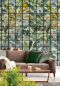 Preview: Orangerie WP20176
