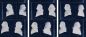 Preview: Dutch Portraits Blue WP20186