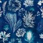 Preview: ALGAE Navy blue WP20297