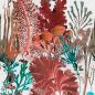 Preview: CORAL REEF WP20299