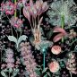 Preview: GARDEN OF EDEN WP20324